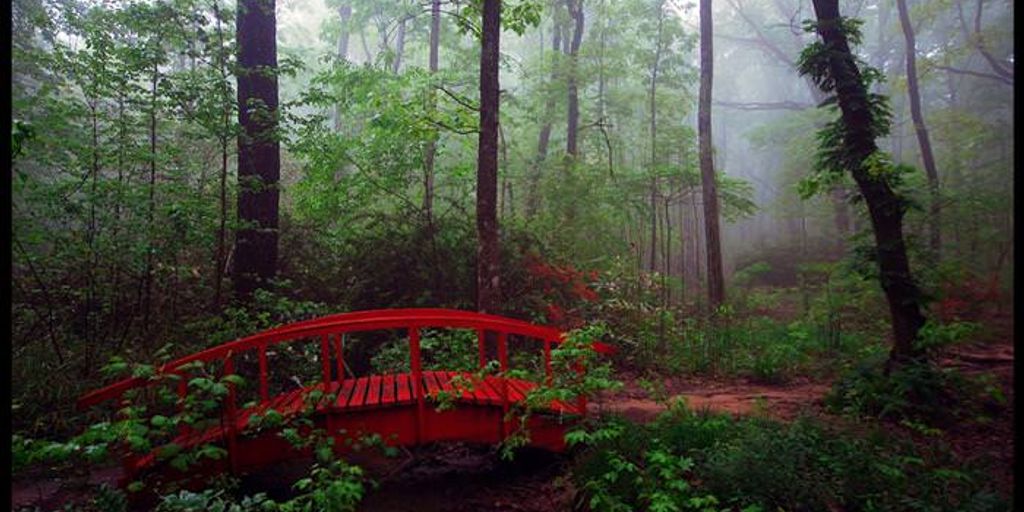 Monte Sano State Park Huntsville outdoor activities hiking trails forest scenic views