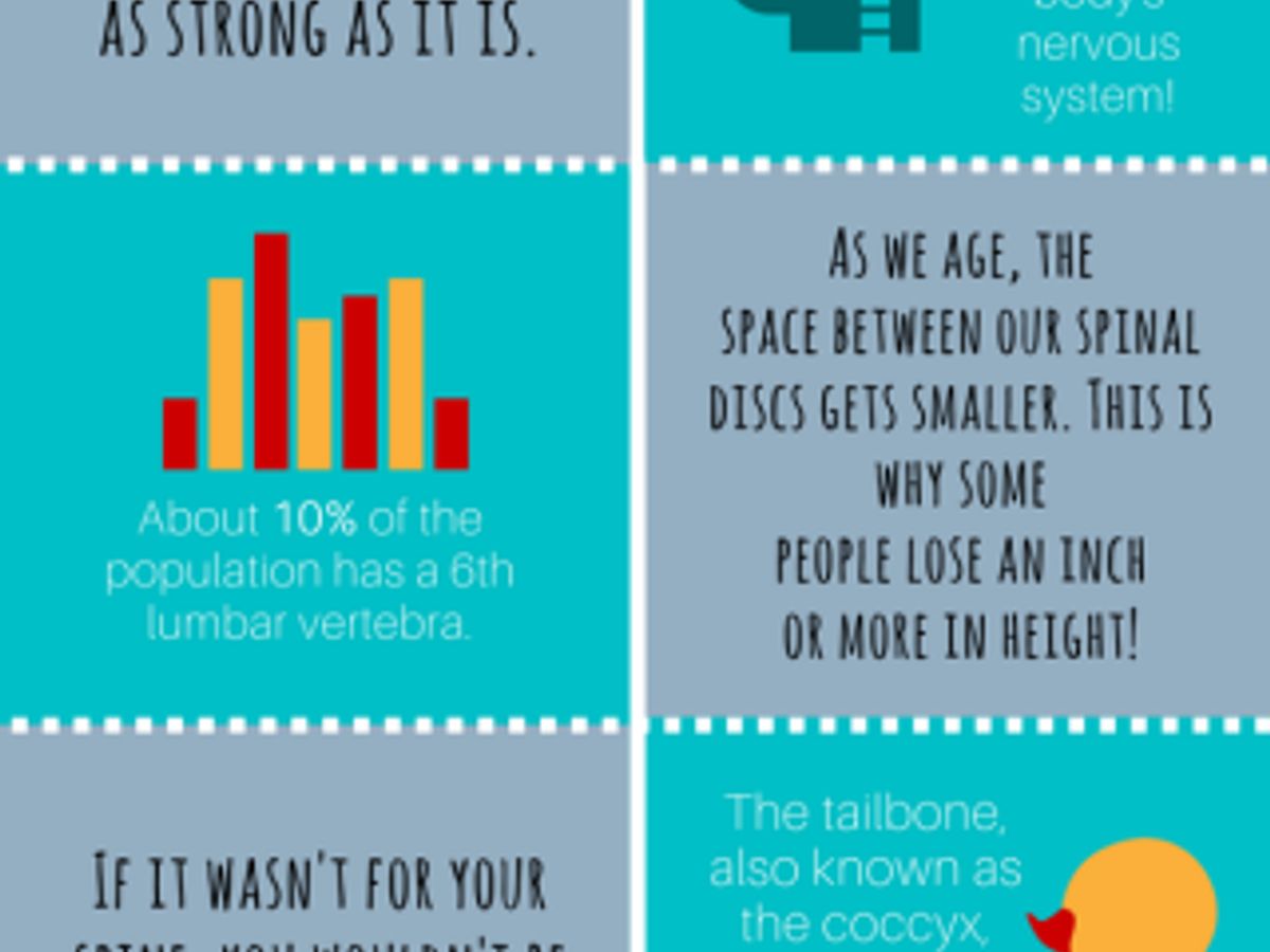 spinal health nutrition