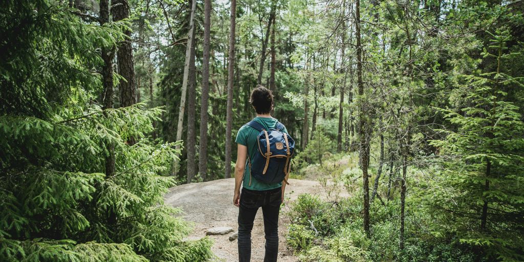man wearing blue backpack walking through forest