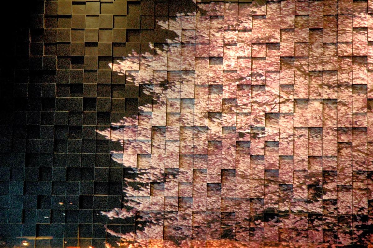 Maintaining WordPress Website Security and Stability