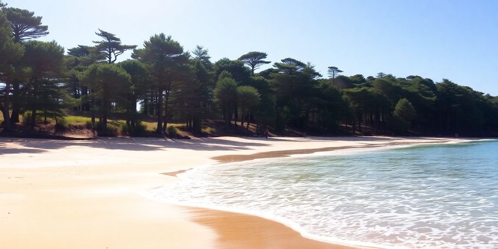 Ambiance estivale et détendue au Cap Ferret.