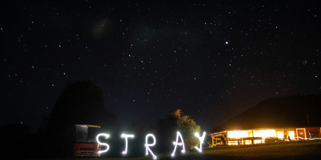 the word stray is lit up in the night sky