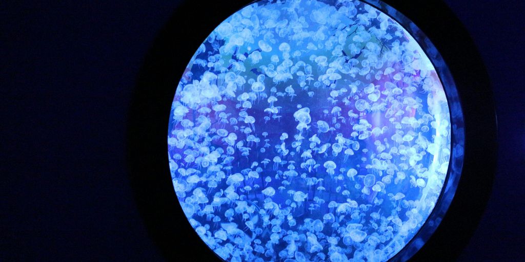 a round window in a dark room with blue light