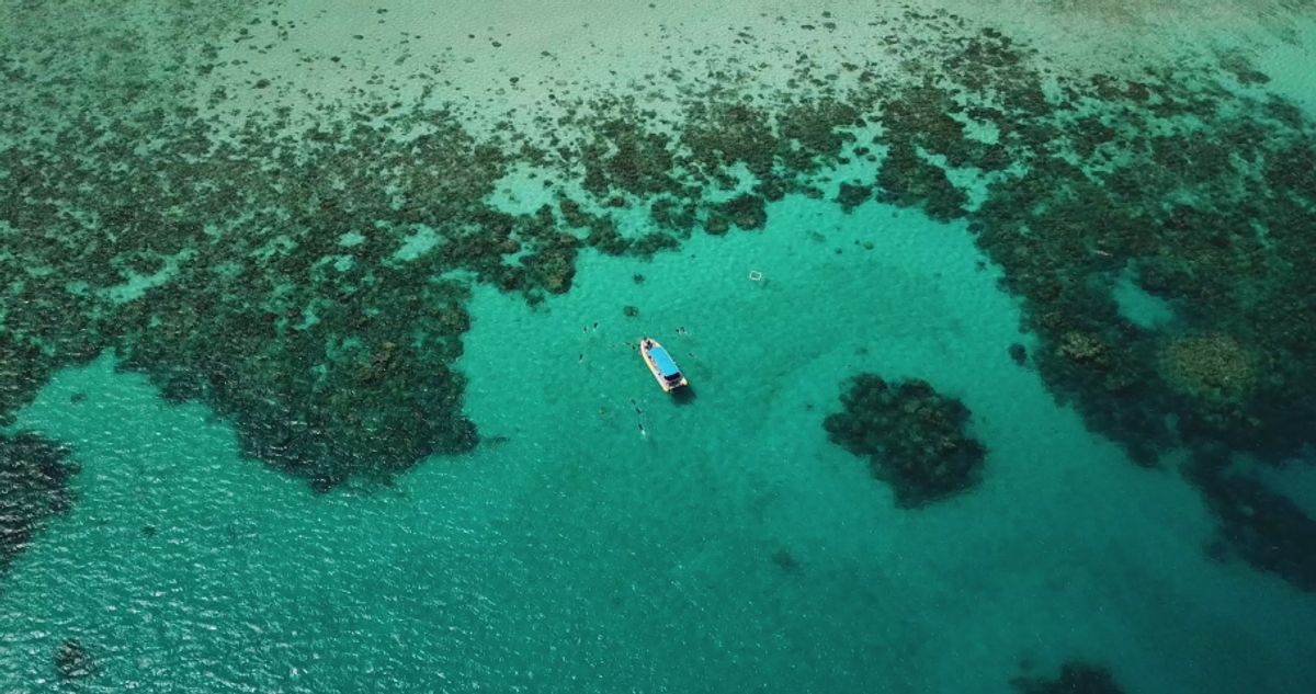 Tropical Delights: Cairns and the Great Barrier Reef