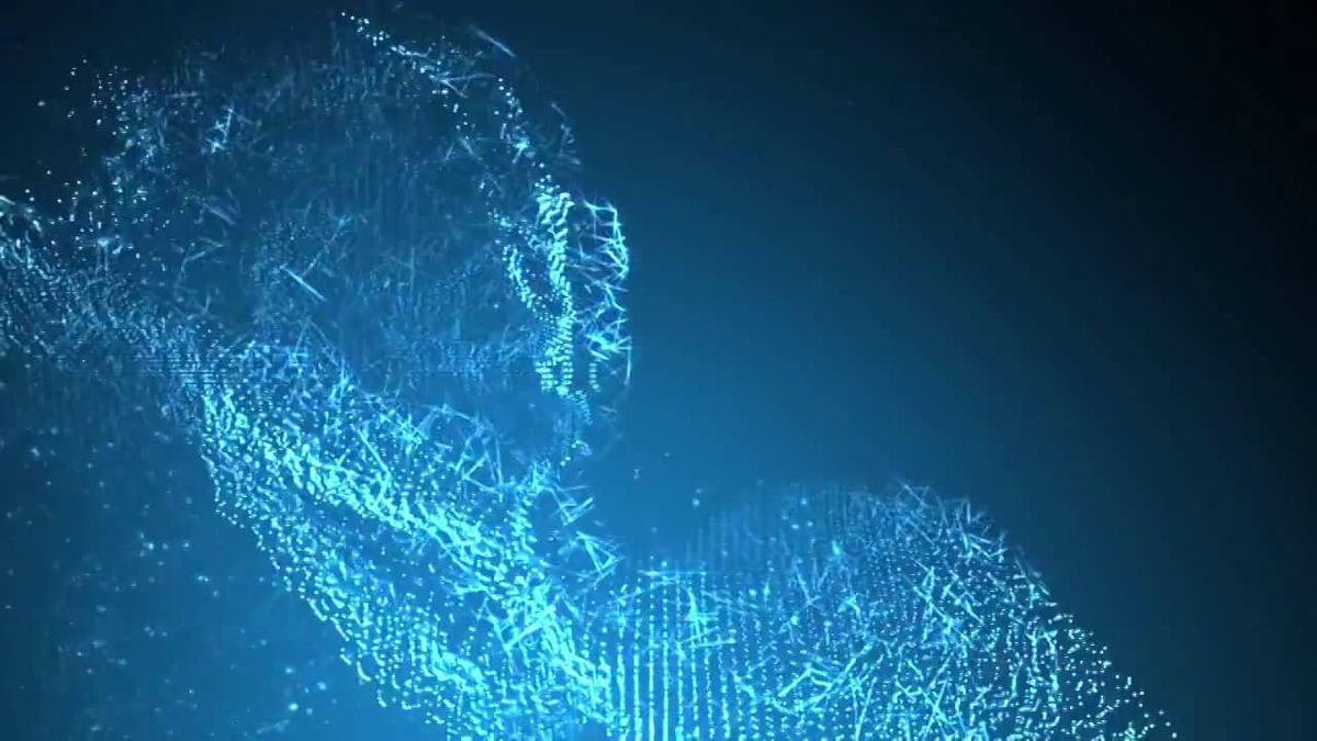 Enhancing E-commerce Capabilities for Business Growth