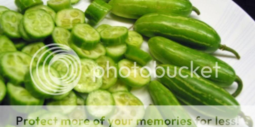 swimmer eating healthy low-fat low-fibre meal