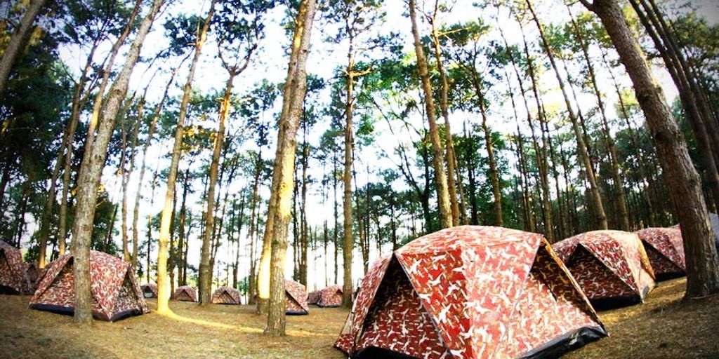 camping in Chesapeake natural parks