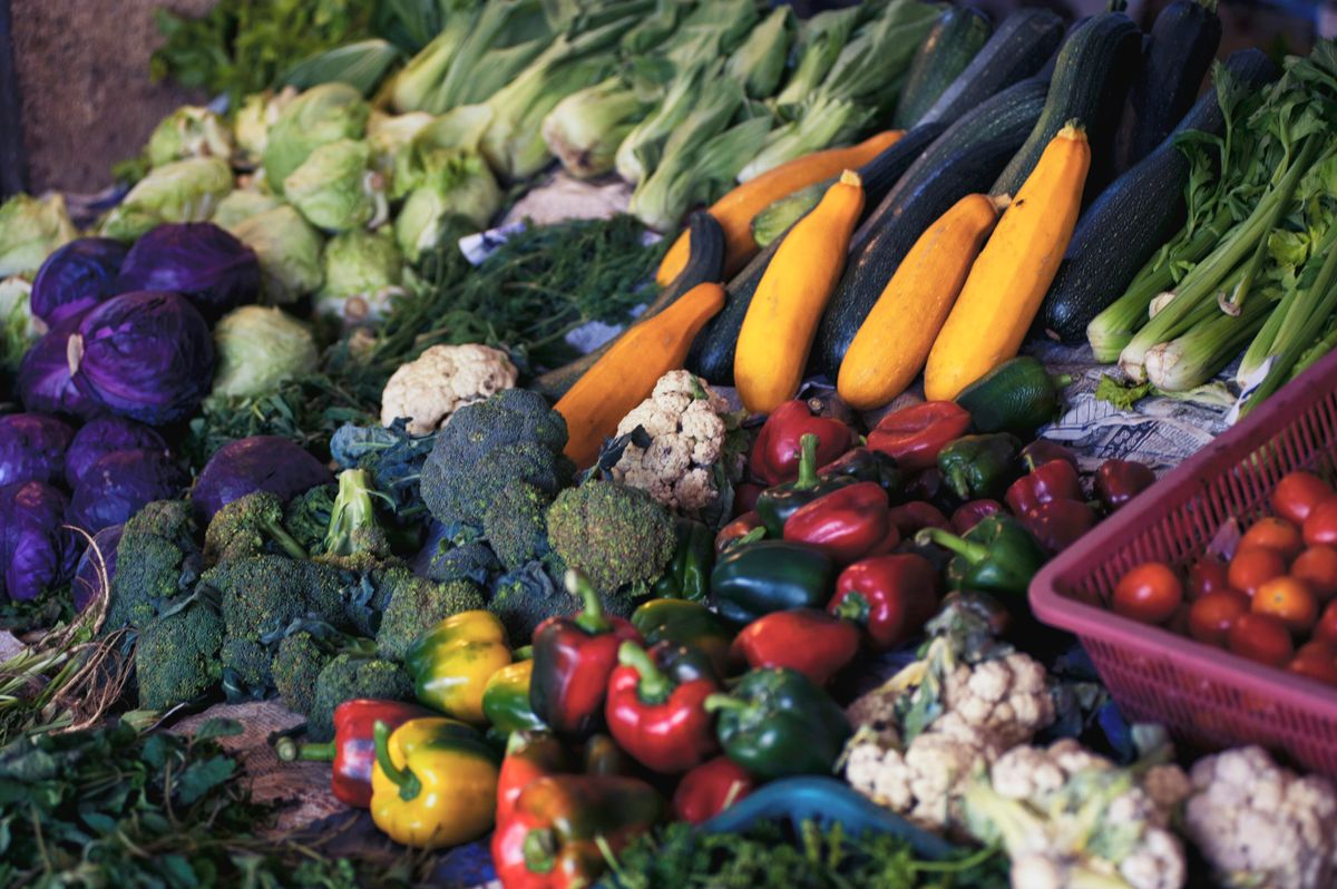 The JADAM Education Center: Cultivating Organic Mastery