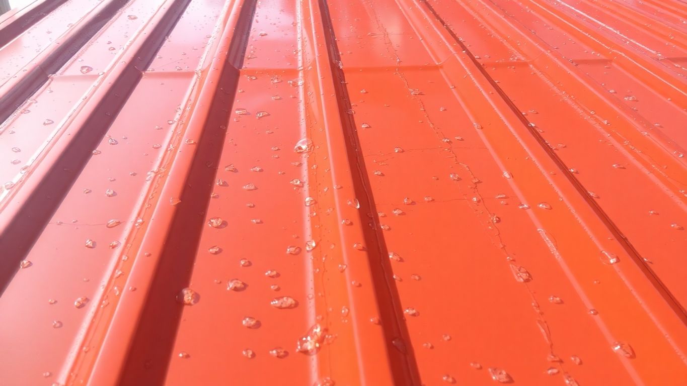 Toiture métallique d'une propreté éclatante après lavage.