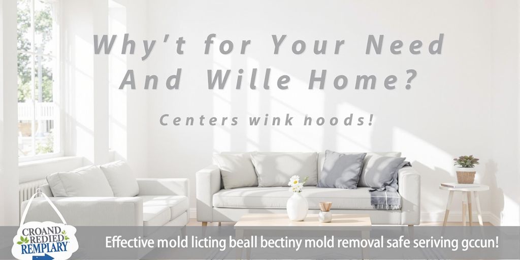 Bright, mold-free room with sunlight and clean decor.