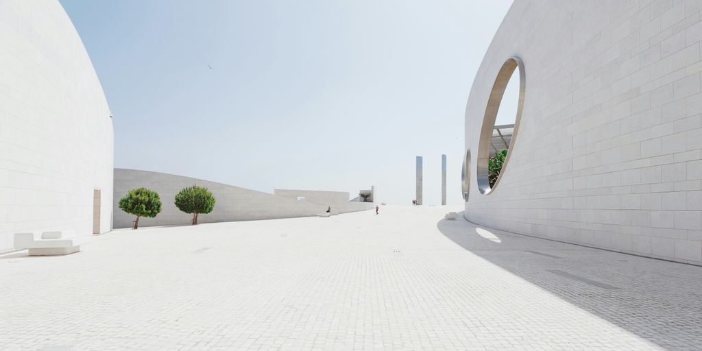 several green bonsai trees during daytime