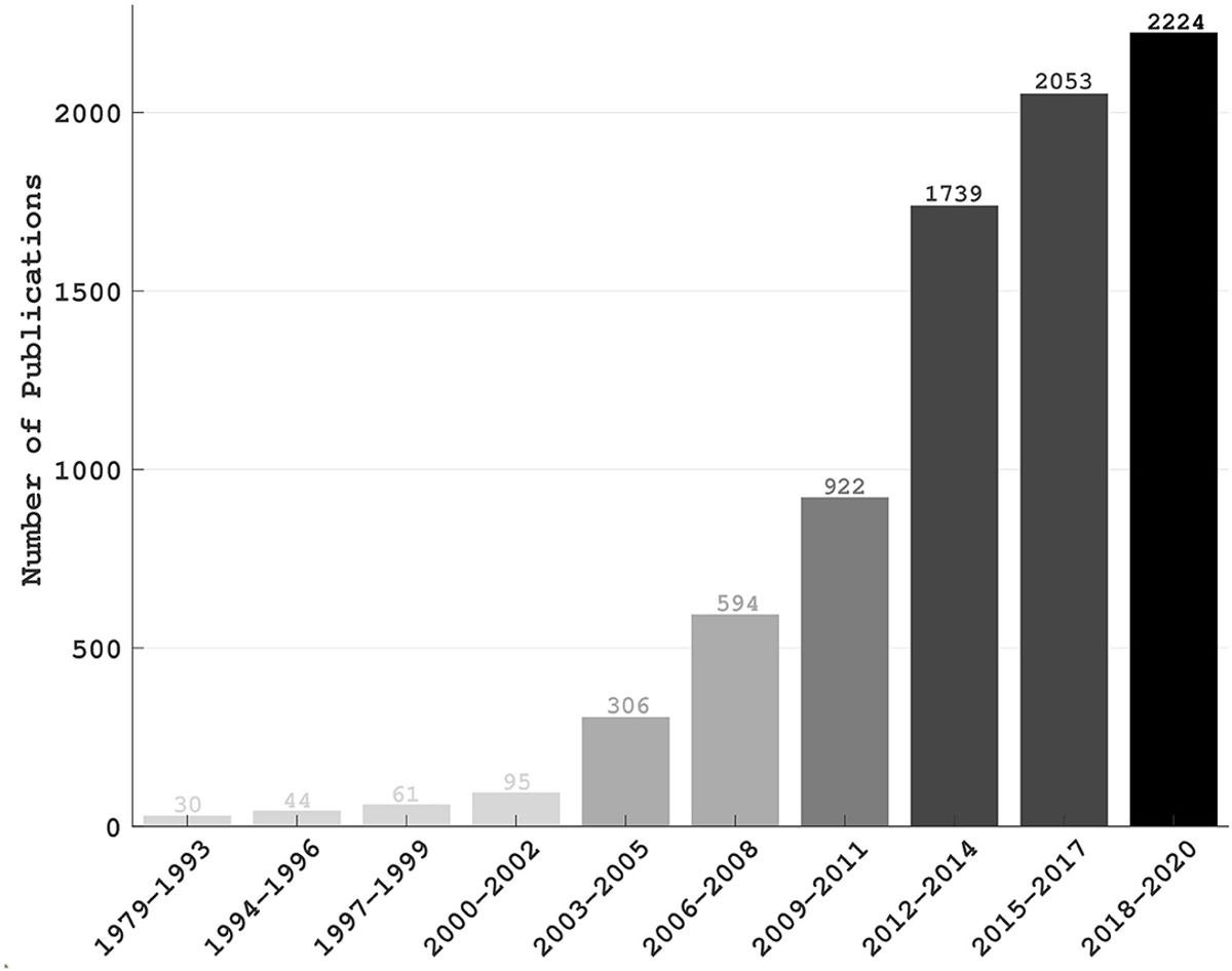 Optimizing Website Performance and User Experience