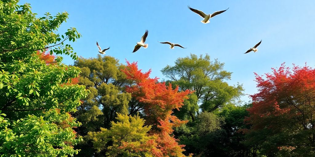 Aves voando em um ambiente natural tranquilo.