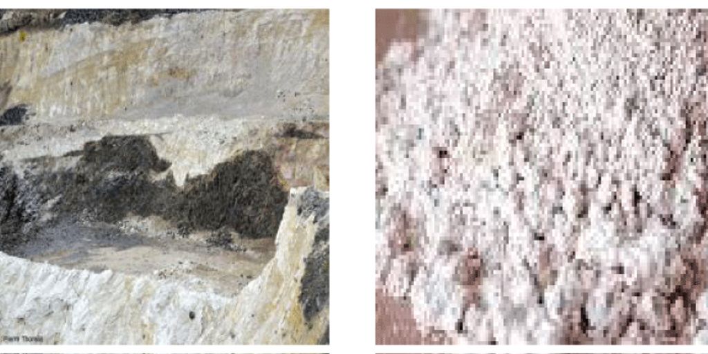 garden with diatomaceous earth application for pest control