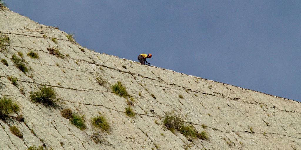 two birds are perched on the side of a building