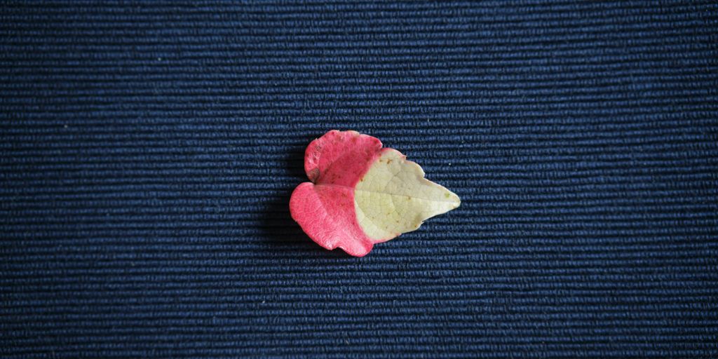 a piece of paper with a flower on it