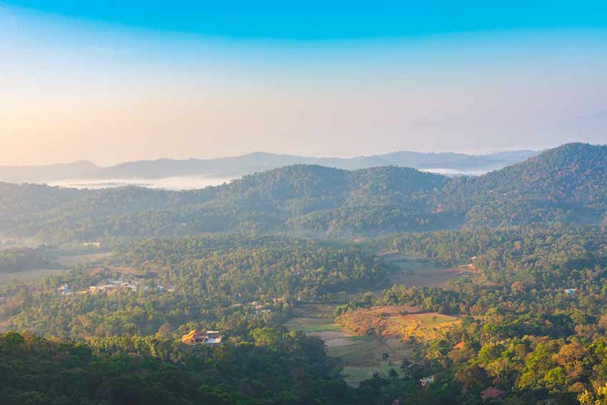 2. Coorg