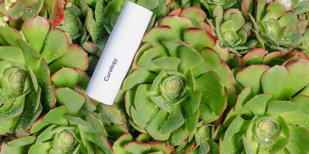 Curology on succulents plants