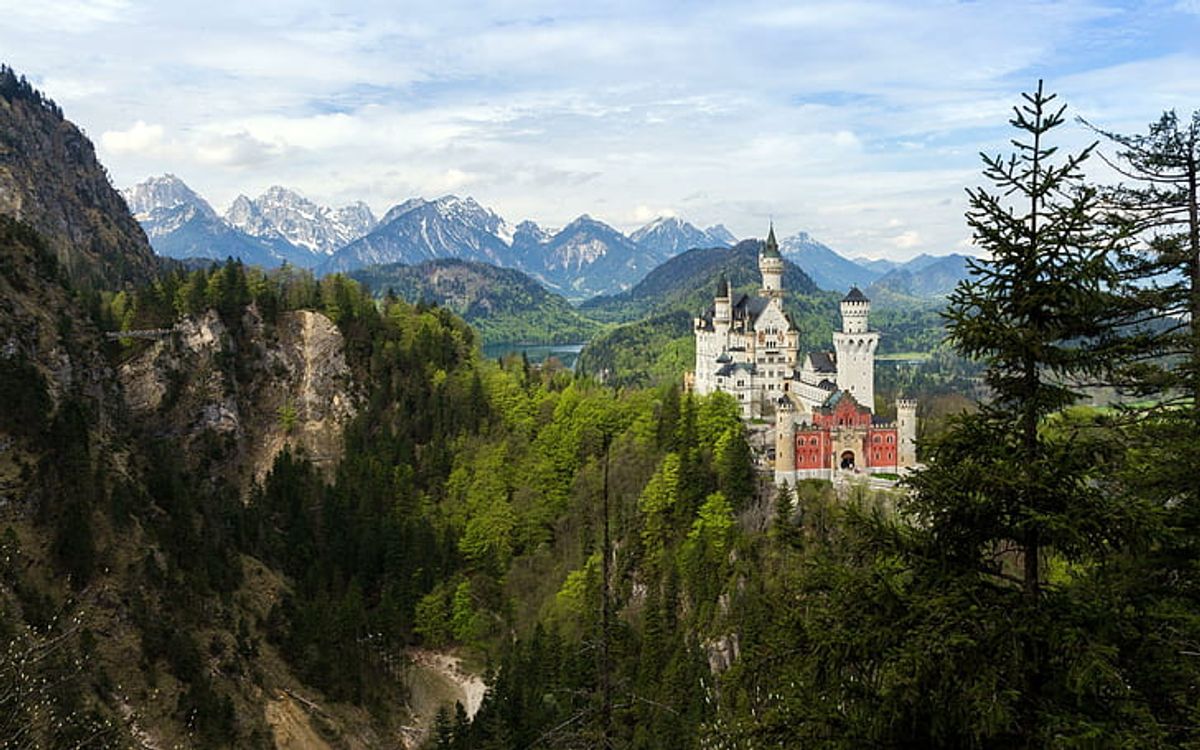 Keimung und Pflanzung