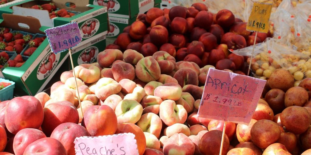 festive farmers market in Tuscaloosa with local produce and community gathering