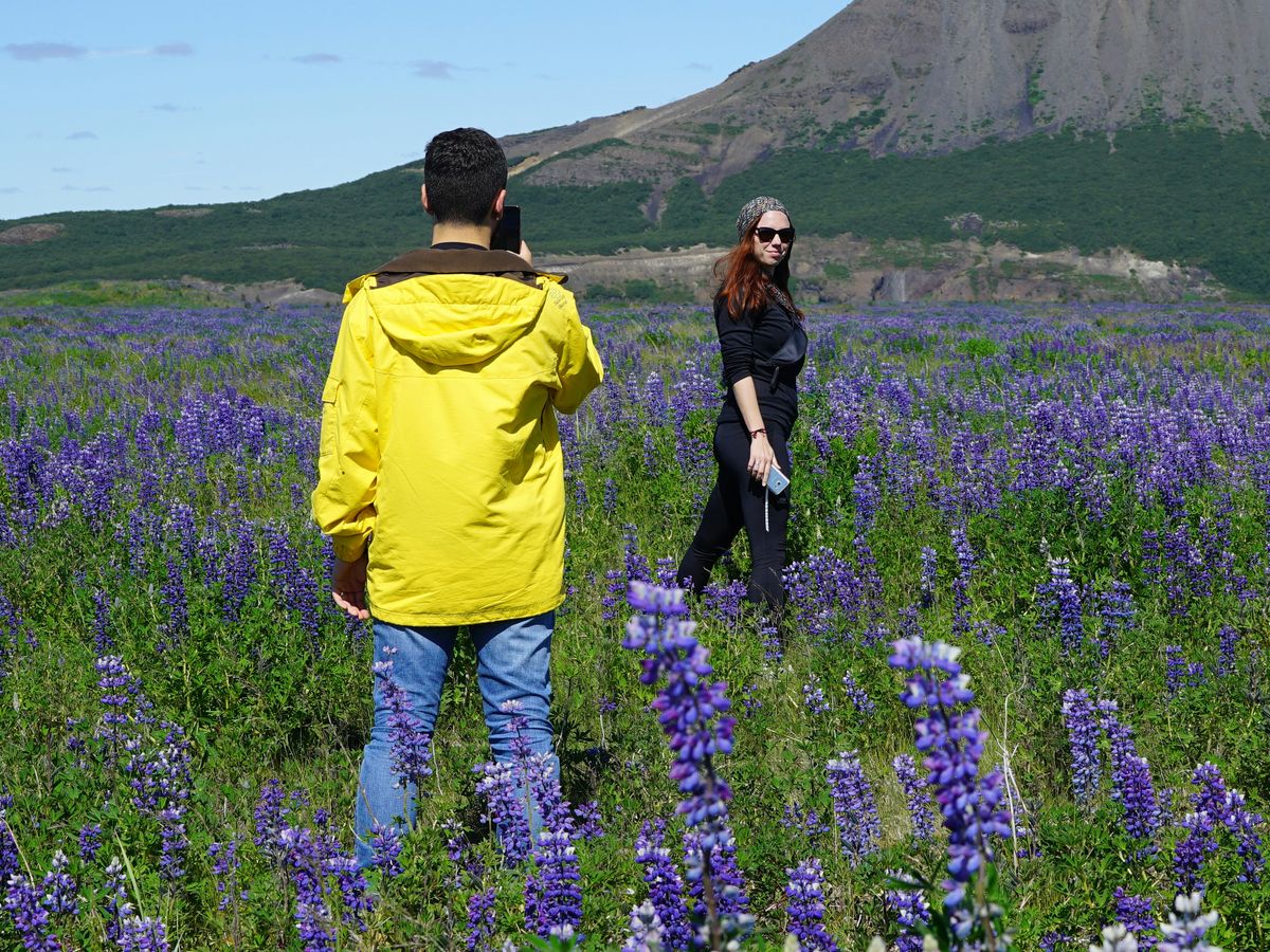 person checking credit report on laptop