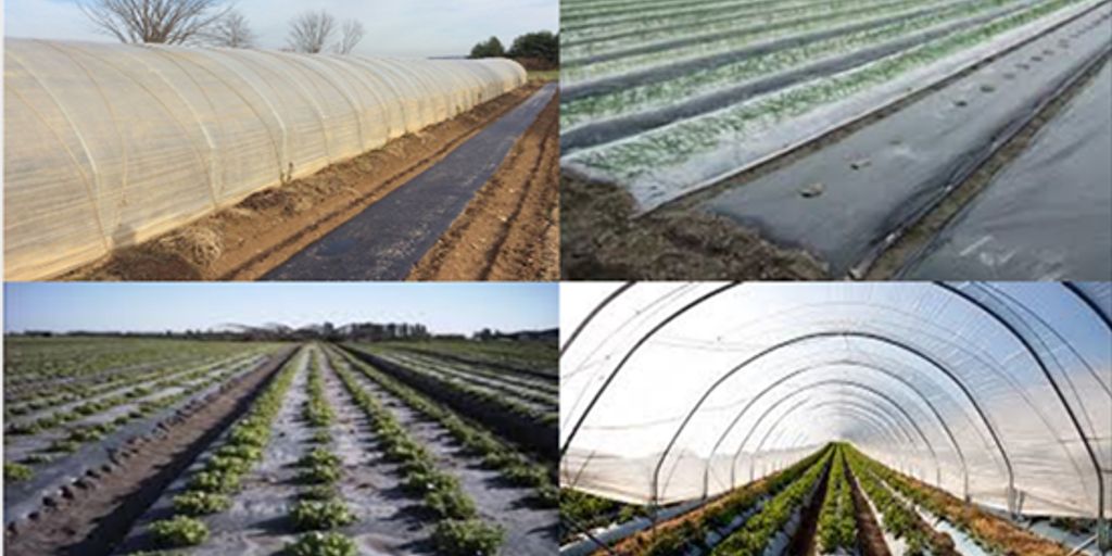 sustainable garden with water-saving techniques