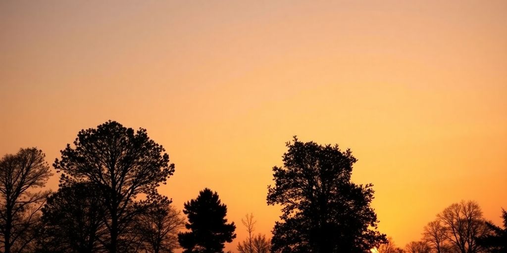 Silhouetted trees against a tranquil evening sky.