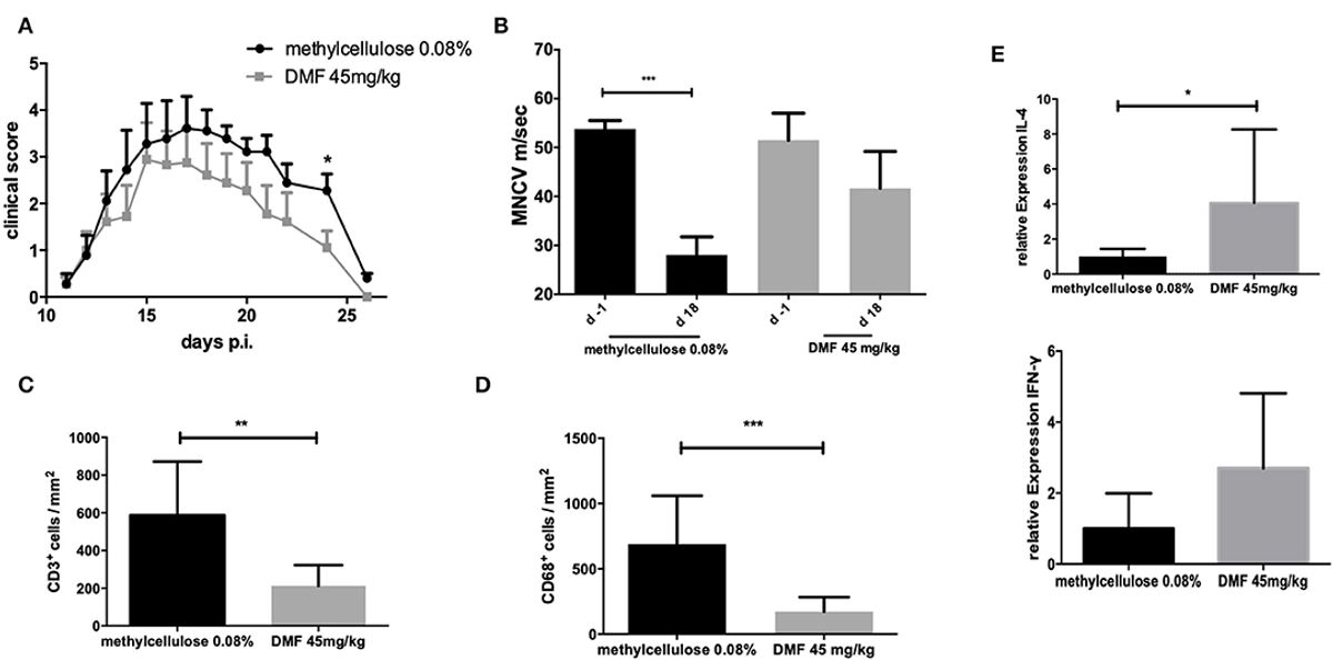 Bpc 157 Herniated Disc Wise Choice Supplements