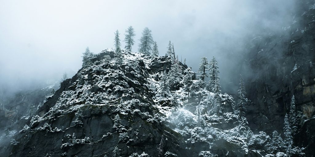a mountain covered in snow next to a forest