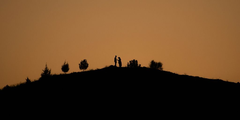 Silhouette of trees on a hill at sunset