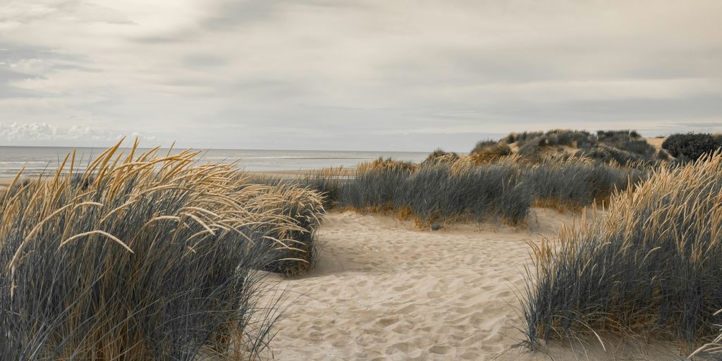 a sandy path leading to the beach with tall grass