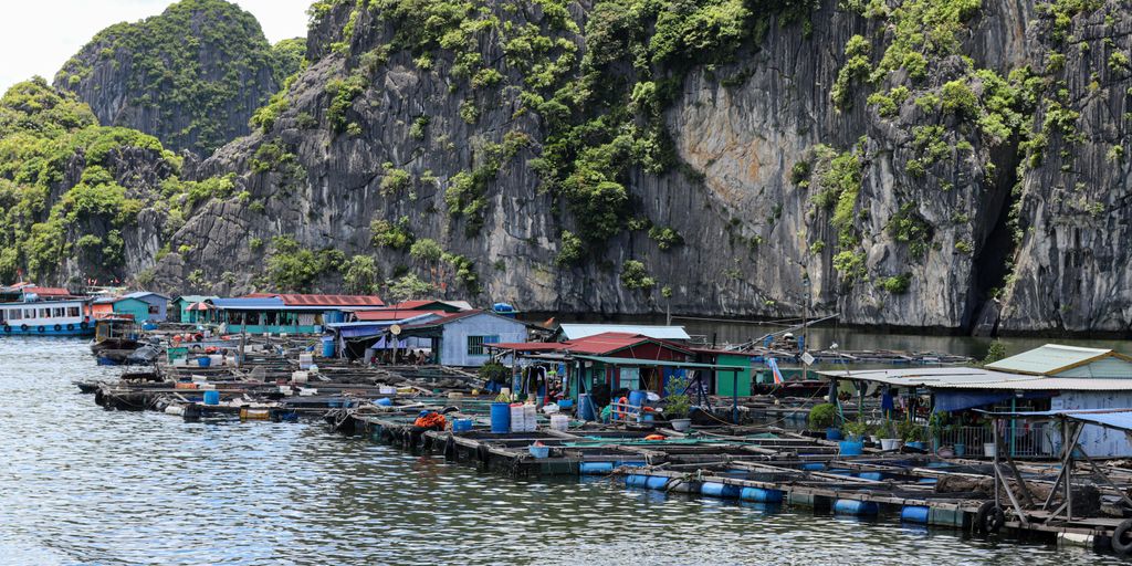 a body of water filled with lots of boats