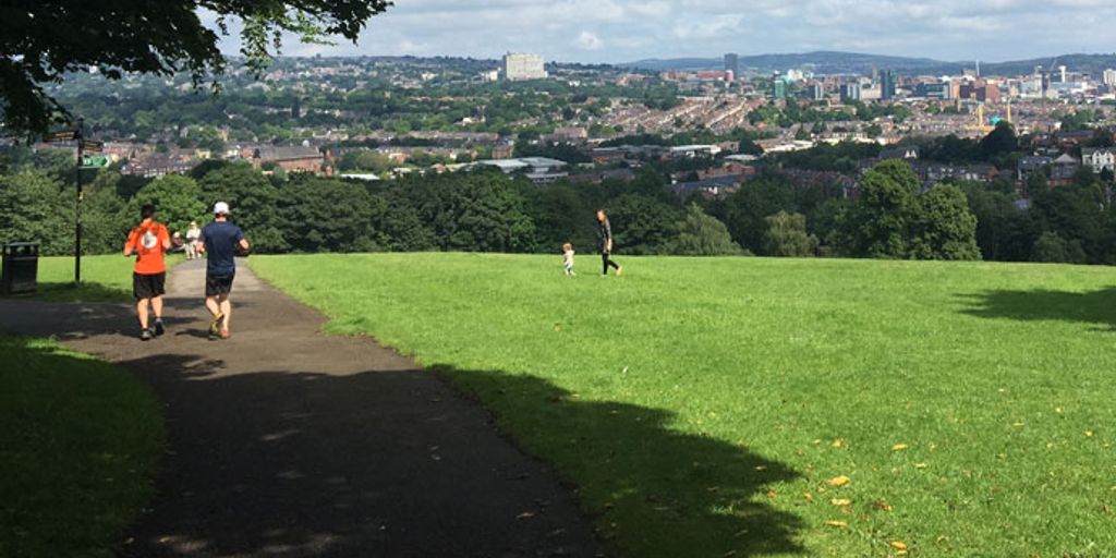 people enjoying outdoor activities in a lush green park