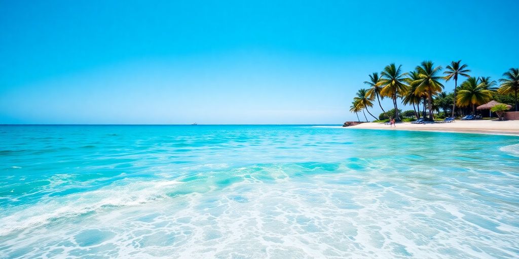 Sunlit beach with clear blue water.