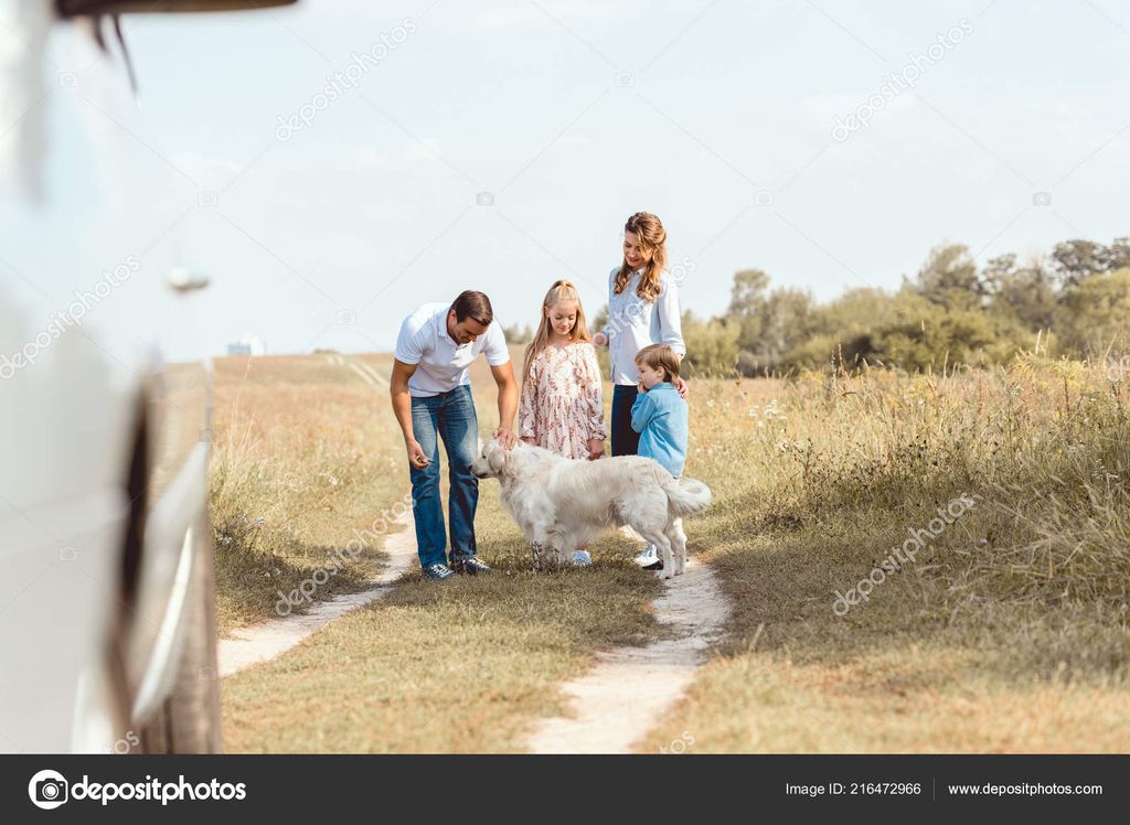 The Impact of Dog Adoption Stories