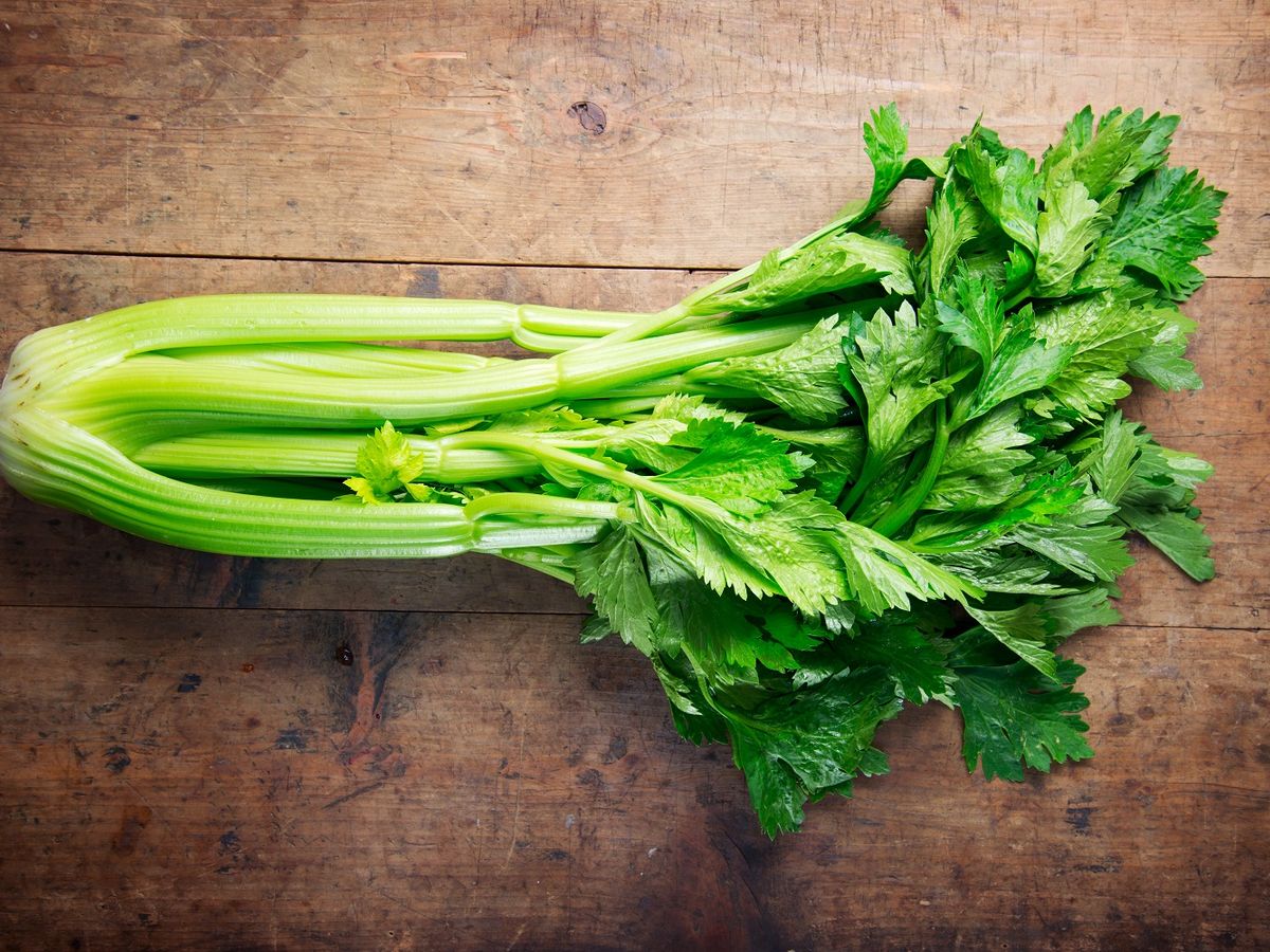 celery culinary uses