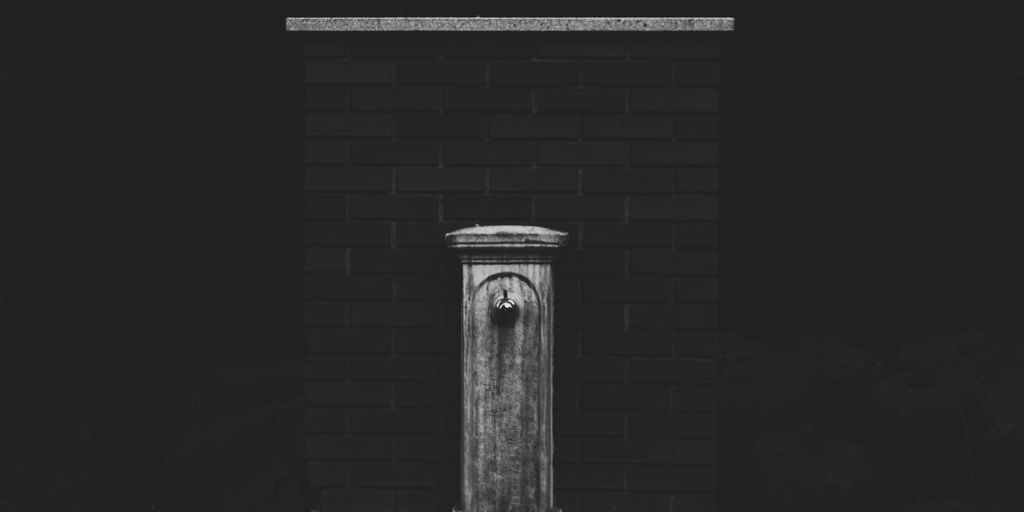 grayscale photo of concrete bird shower