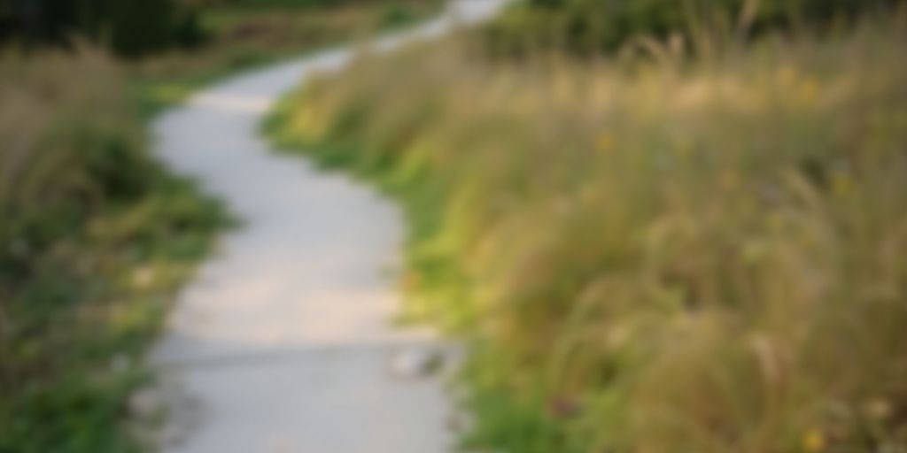 A winding path leading towards a bright opening.