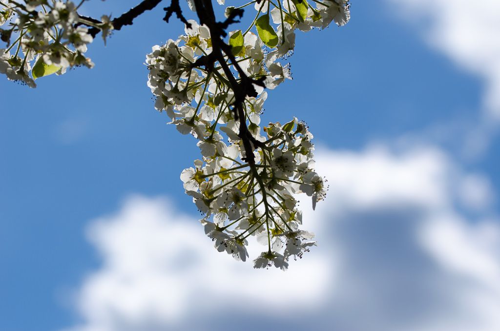 3. Inconsistent Temperatures