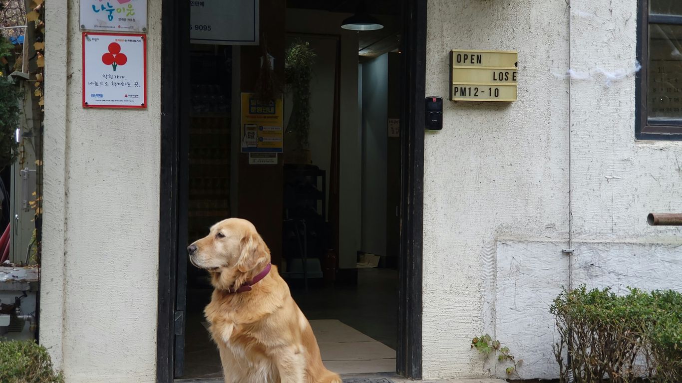 a dog sitting outside a building