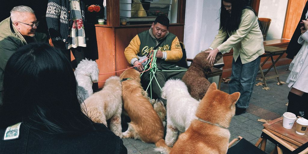 a group of people in a room with a group of cats