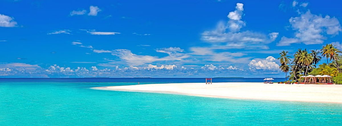 The Digital Influence: Social Media's Role in Travel Choices
