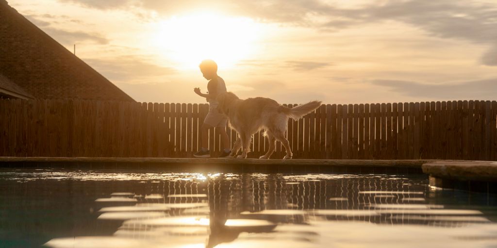 a dog standing on top of a pool next to a wooden fence