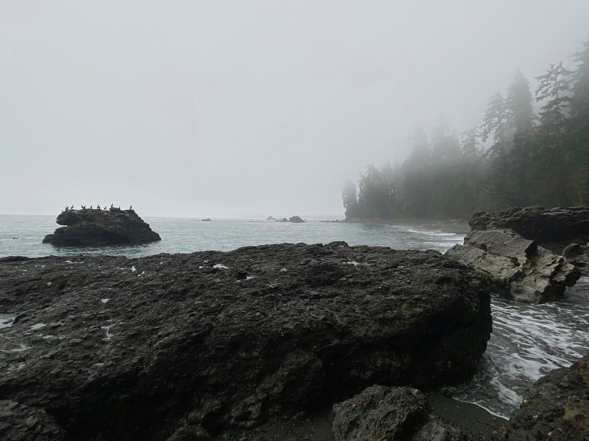 a foggy day at the beach with rocks and trees
