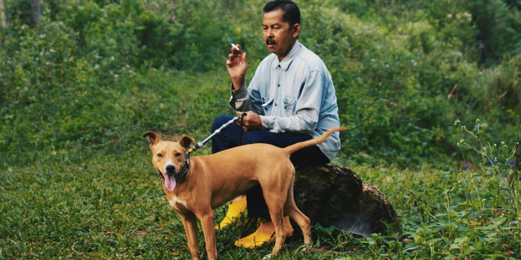 man sitting and holding leash of a dog
