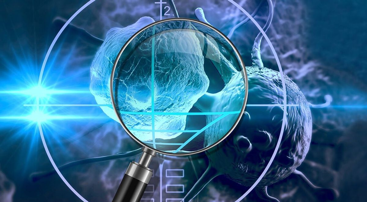 Navigating the AI Learning Curve