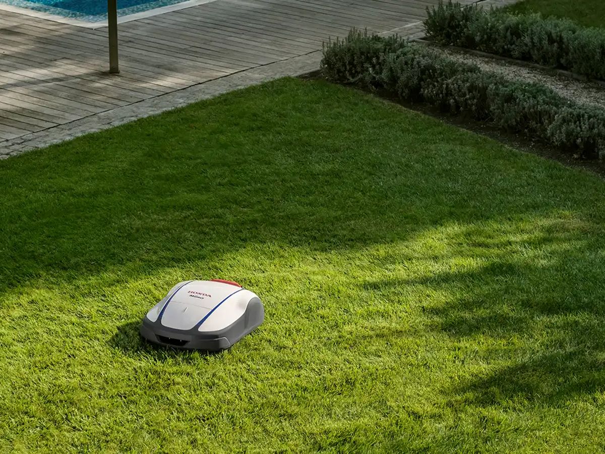 Robotic lawn mower on a well-manicured green lawn.