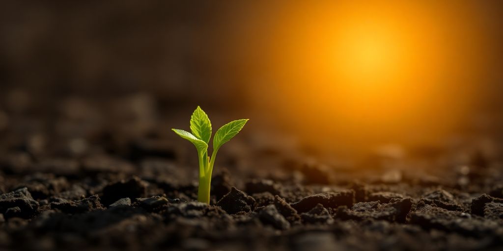 Bright light illuminating new growth.