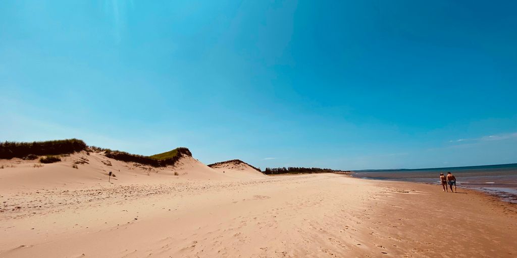 people walking on a beach