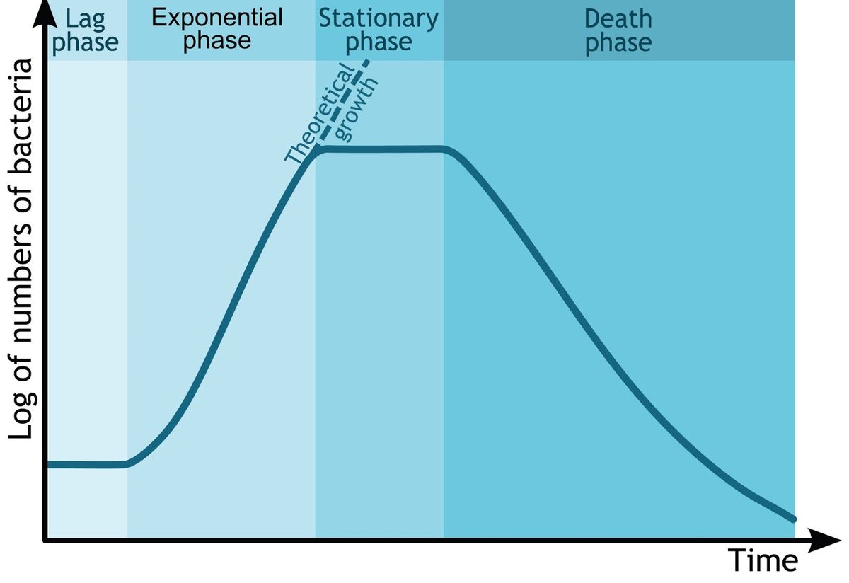 Optimizing Conversion Strategies